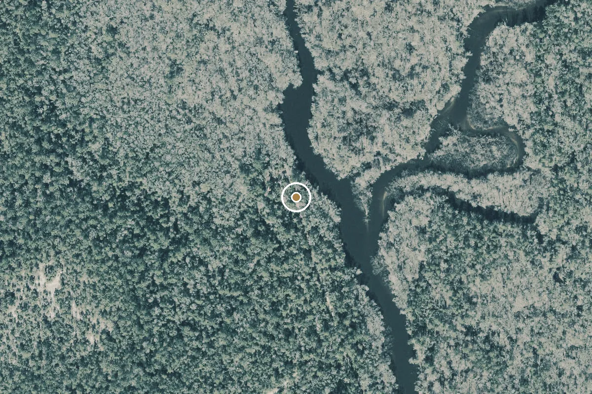 Aerial view of Apalachicola National Forest - Lower Revell Landing