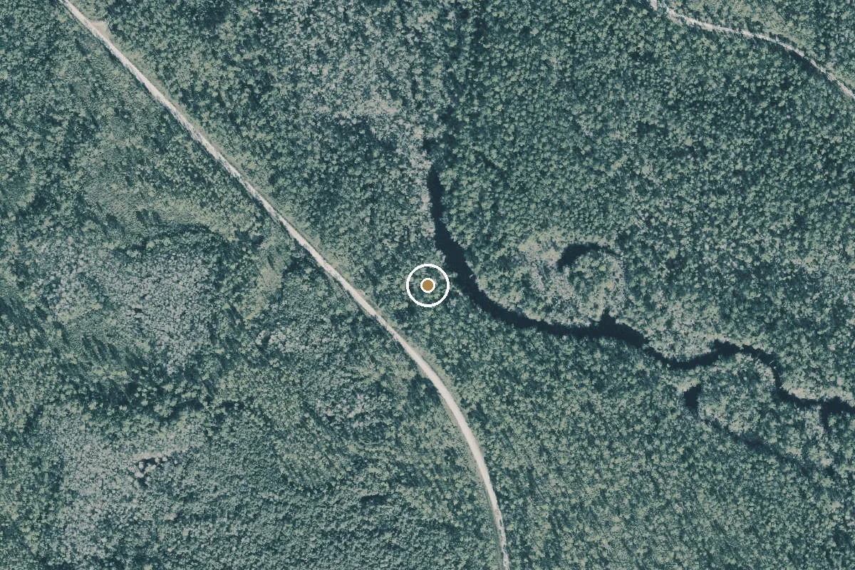 Aerial view of Apalachicola National Forest - Magnolia Landing