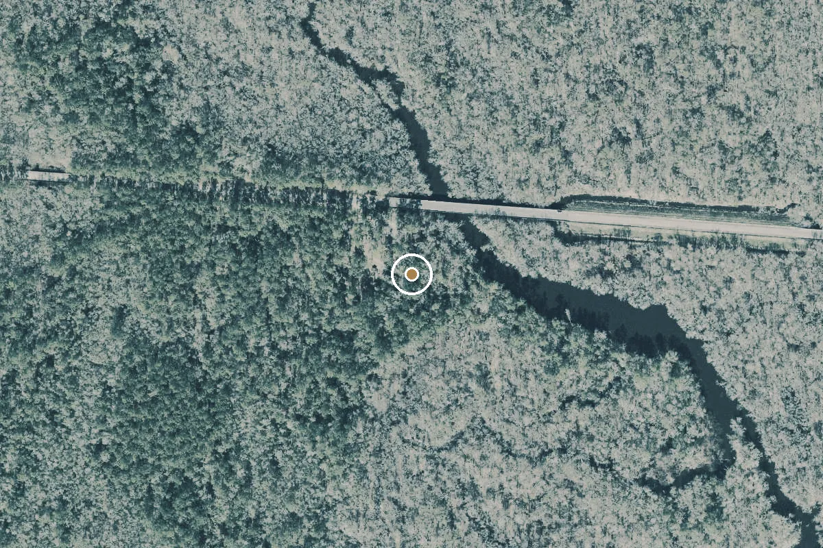 Aerial view of Apalachicola National Forest - Porter Lake Boat Ramp