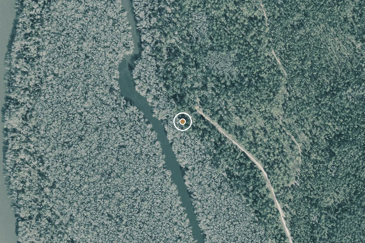 Aerial view of Apalachicola National Forest - Smith Creek Landing