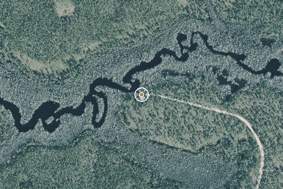 Aerial view of Apalachicola National Forest - Waffen Landing
