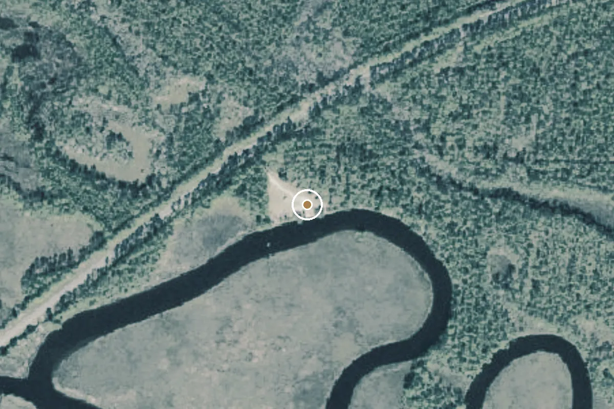 Aerial view of Apalachicola River Wildlife and Environmental Area - Whiskey George Creek Landing