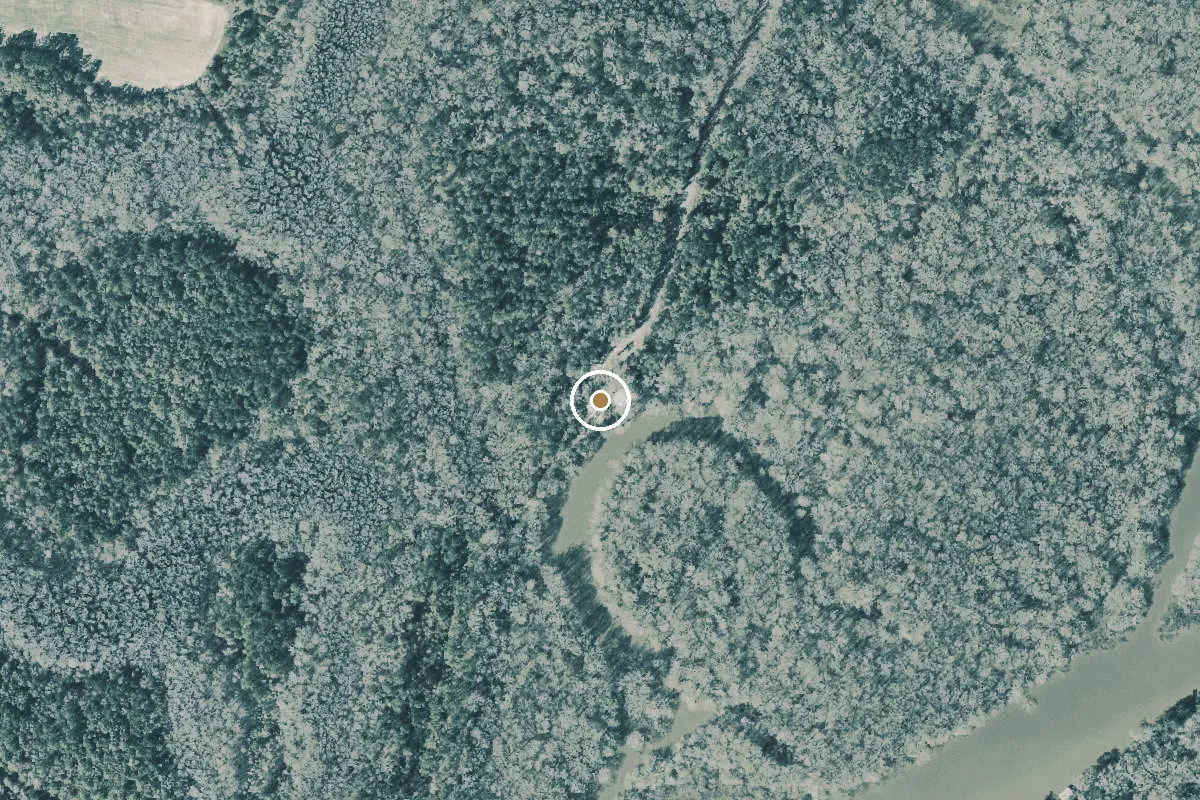 Aerial view of Berrian Lake Landing I (aka. Coon Bottom Landing)
