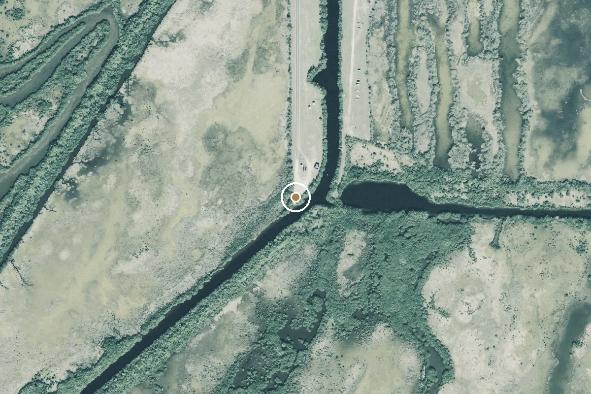 Aerial view of Big Cypress National Preserve - Halfway Creek - Seagrape Boat Launch