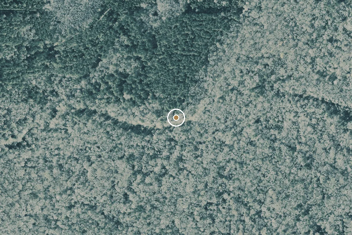 Aerial view of Cow Lake Landing Public Boat Ramp