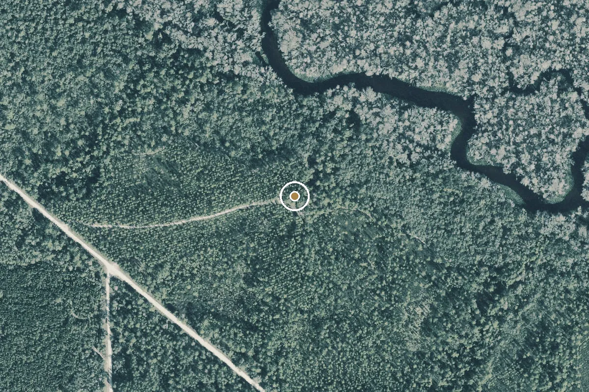 Aerial view of Ocala National Forest - Davenport Landing Primitive Campsite - Canoe Access