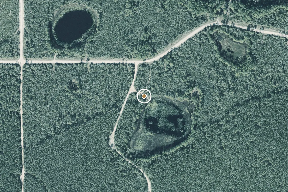 Aerial view of Ocala National Forest - Echo Lake Primitive Boat Ramp