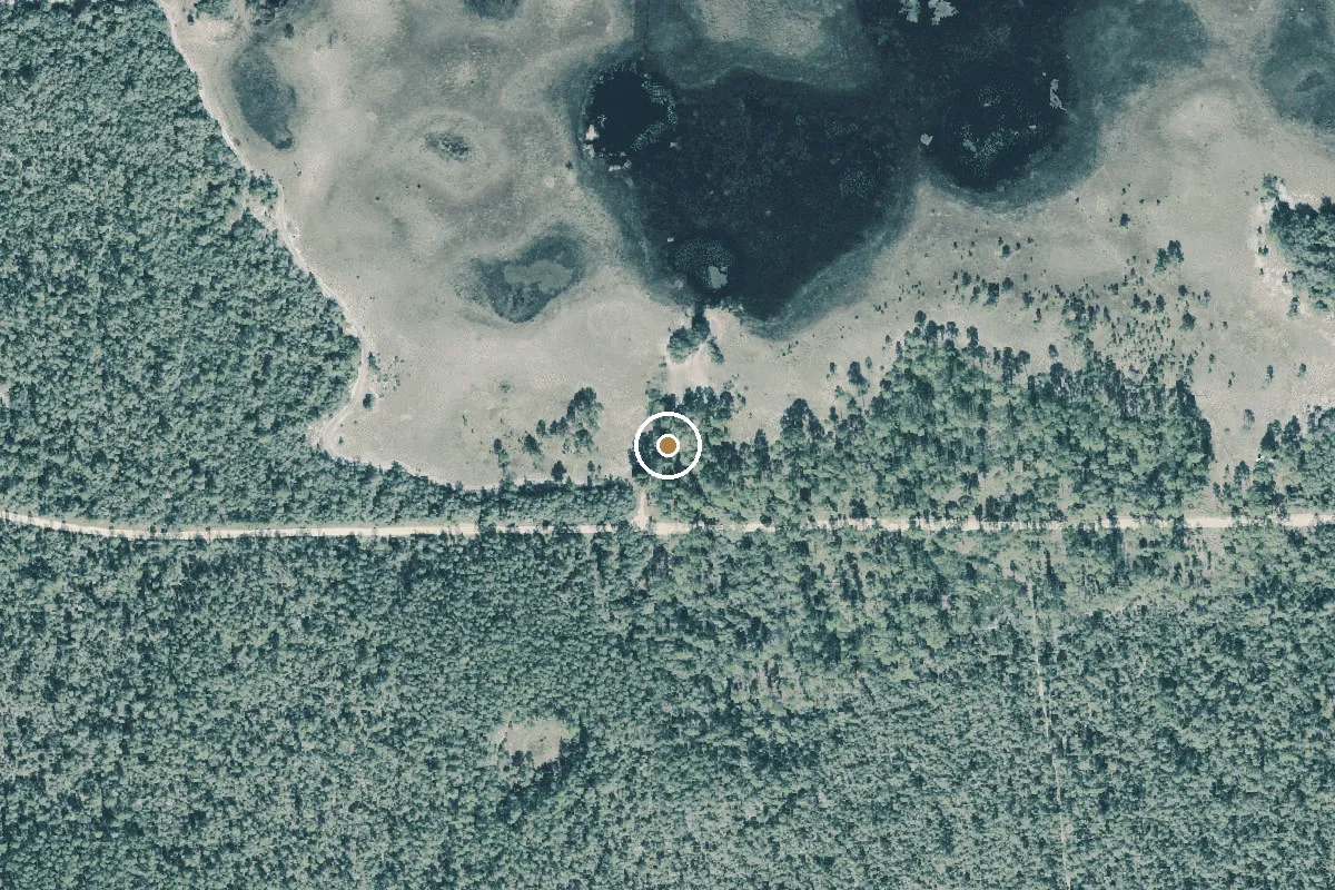 Aerial view of Ocala National Forest - Hopkins Prairie Primitive Boat Ramp