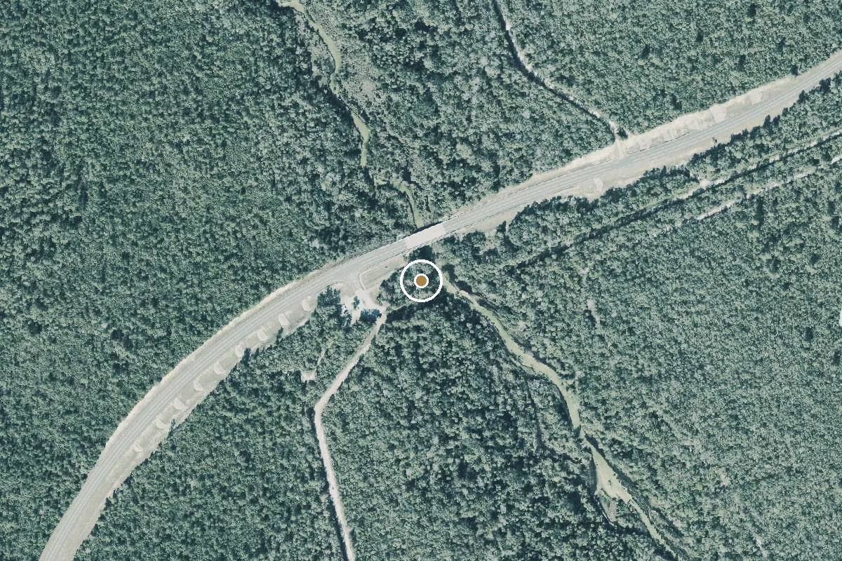 Aerial view of Ocala National Forest - Juniper Run Canoe/Kayak Take Out Point