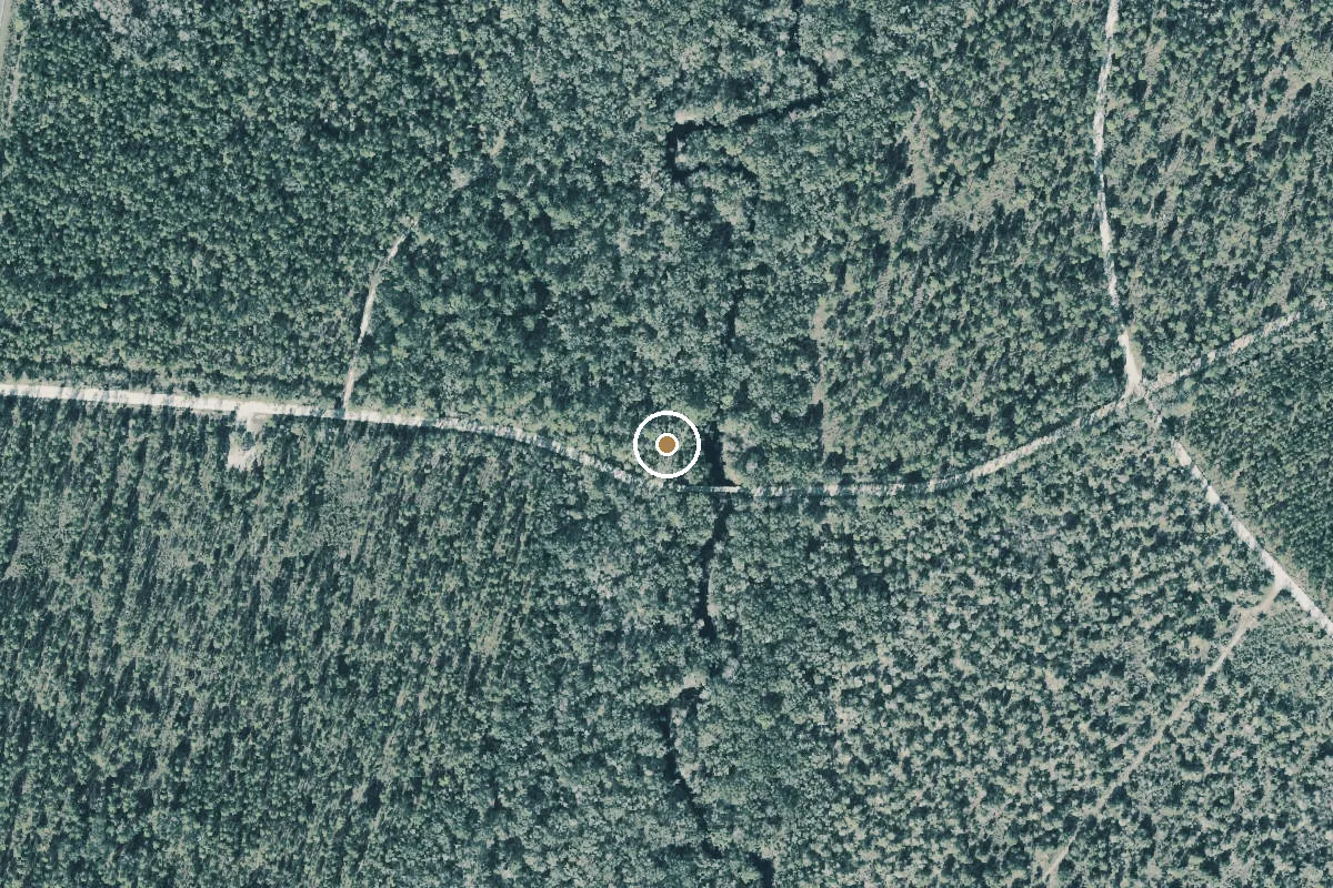 Aerial view of Steinhatchee Conservation Area South Canal Road Canoe Access
