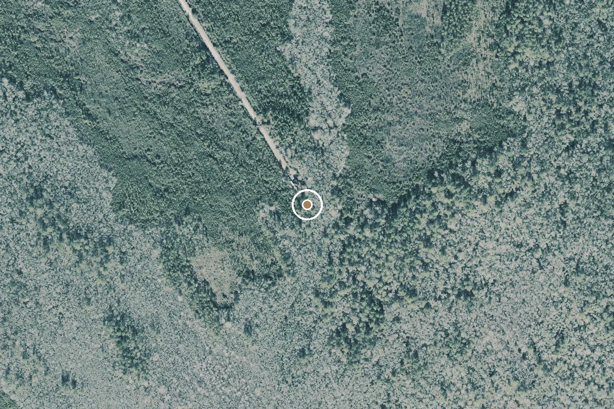 Aerial view of Tate's Hell State Forest - Bus Stop Camp Canoe Access