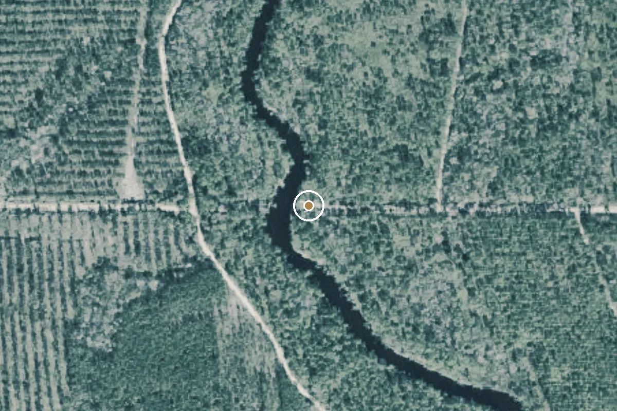 Aerial view of Tate's Hell State Forest - New River Camp #1 Camp Canoe Access