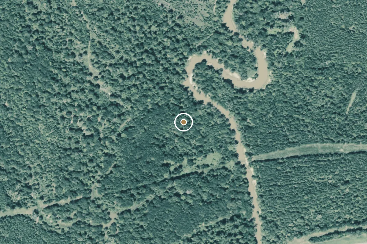 Aerial view of Angelina River Boat Ramp