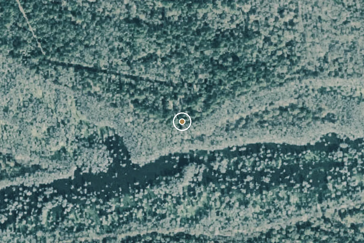 Aerial view of Caddo Lake Wildlife Management Area Boat Ramp