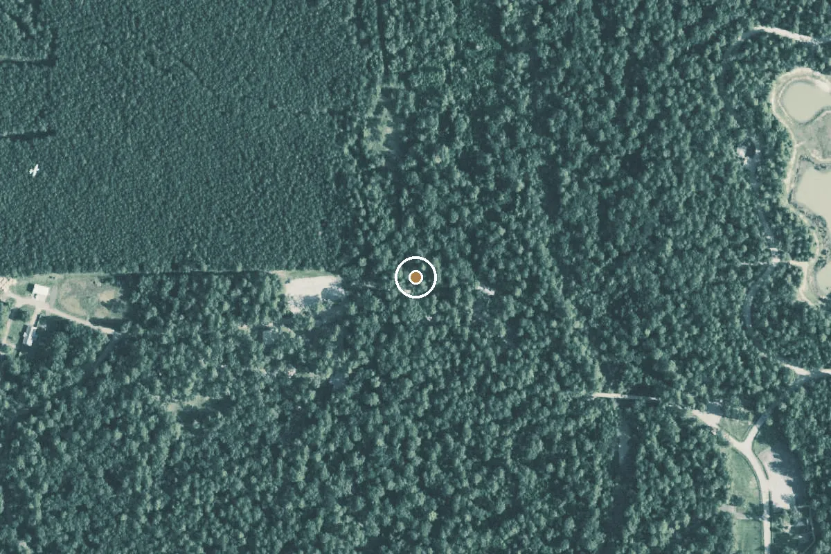 Aerial view of Lake Houston Wilderness Park Boat Ramp