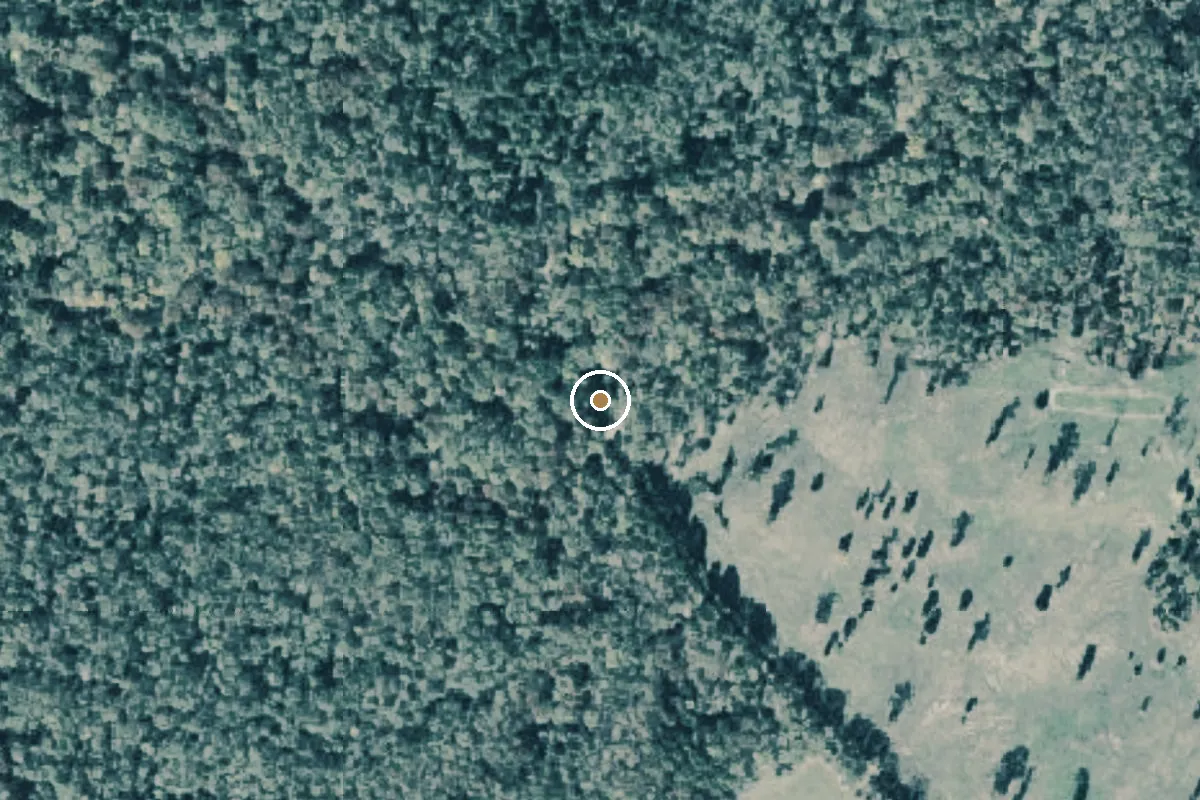 Aerial view of Little Cypress Creek Boat Ramp
