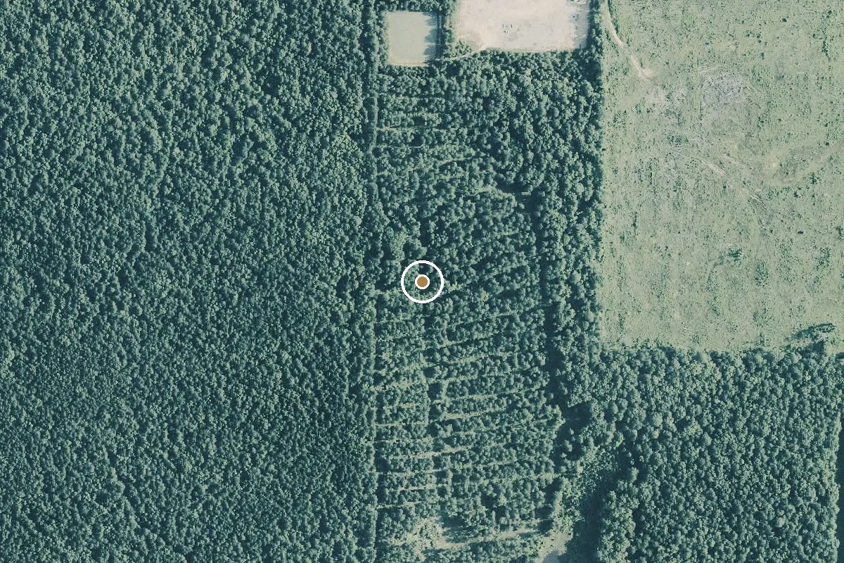 Aerial view of Martin Creek Boat Ramp