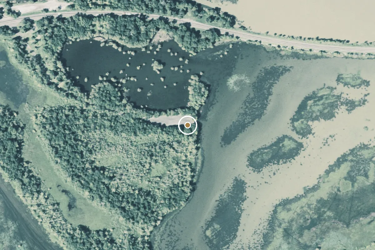 Aerial view of Martin Dies, Jr. State Park Boat Ramp