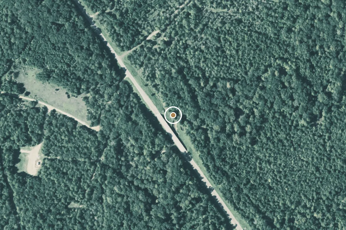 Aerial view of Murvaul Creek Boat Ramp