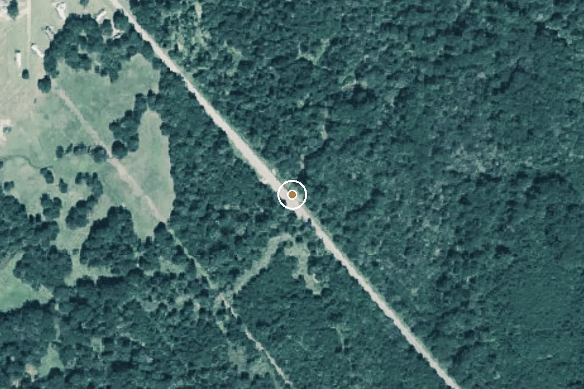 Aerial view of Murvaul Creek Boat Ramp