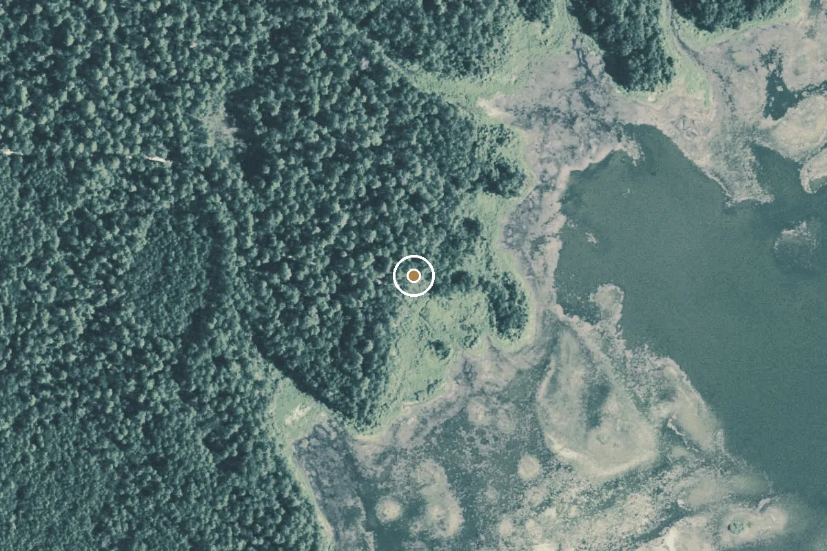 Aerial view of Sam Houston National Forest Boat Ramp