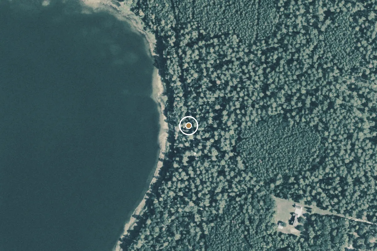 Aerial view of Sam Houston National Forest Boat Ramp