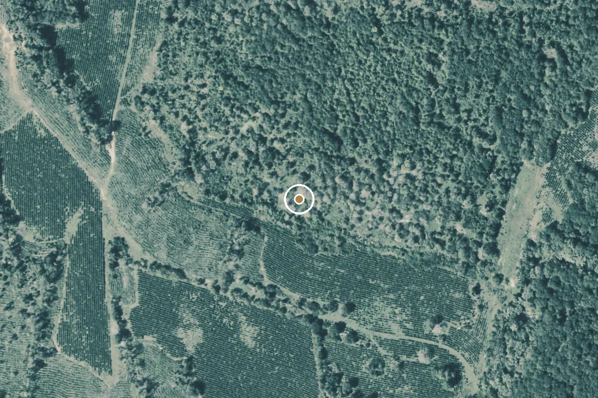 Aerial view of West Mud Creek Boat Ramp